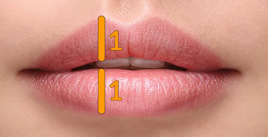 The Most Attractive Lip Shape Magnum Workshop